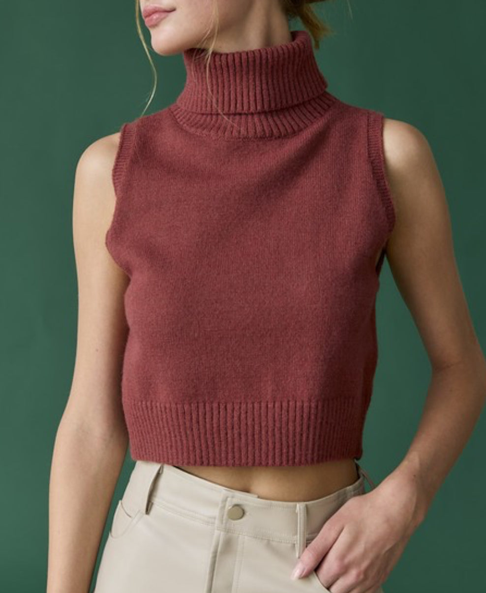 Turtle Neck Top