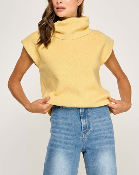 Ribbed Turtleneck Sweater
